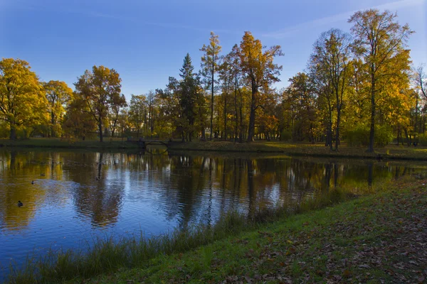 Goldener Herbst Puschkin Park, Russland — Stockfoto