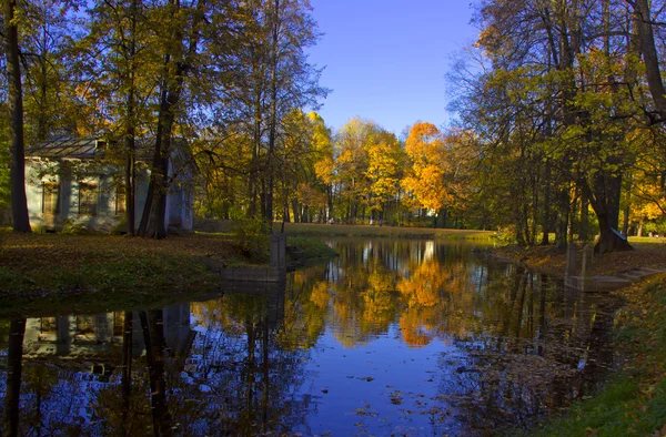 Goldener Herbst Puschkin Park, Russland — Stockfoto