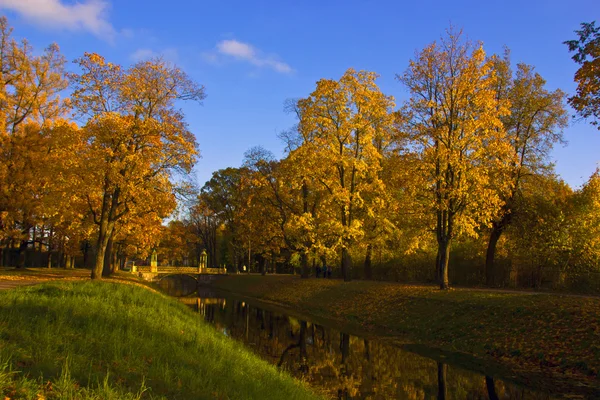 Золотая осень Пушкинский парк, Россия — стоковое фото