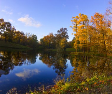 Altın sonbahar Puşkin Park, Rusya Federasyonu