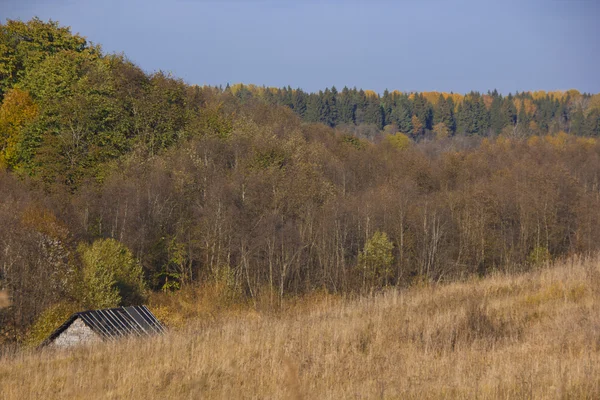 Slunečné podzimní krajina — Stock fotografie
