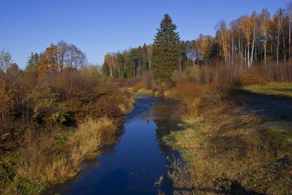 Slunečné podzimní krajina — Stock fotografie