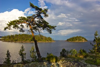 Evening on Ladoga lake ,Karelia clipart