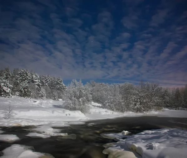 Notte al chiaro di luna sul fiume foresta — Foto Stock