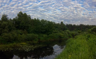 Orman nehrinde yaz akşamı