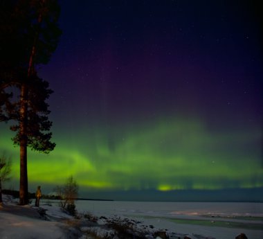 Kız üzerinde Ladoga kuzey ışıklarını izlerken Gölü kıyısındaki