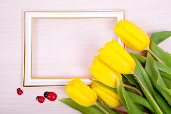 Gelbe Tulpen und weißer Rahmen. Karte — Stockfoto