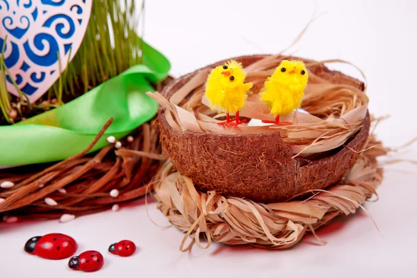 Φωλιά με αυγά και νεοσσοί. Σύνθεση του Πάσχα — Φωτογραφία Αρχείου