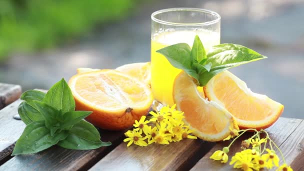 Slices of orange and fresh orange juice in the garden — Stock Video