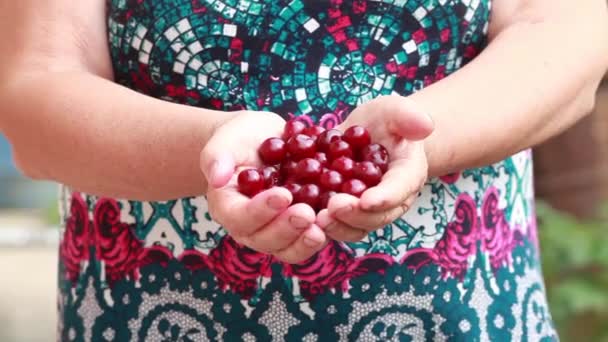 Une poignée de cerises dans les mains de la femme — Video