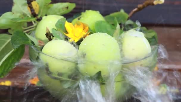 Grüner Apfel mit Wasserspritzern in der Natur, Zeitlupe — Stockvideo