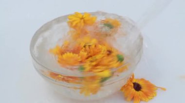 Su akışı Struth calendula çiçeklerin bir kase