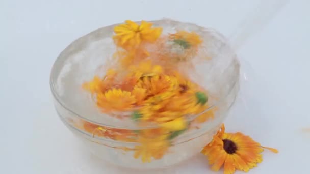 Flusso d'acqua Struth in una ciotola con fiori di calendula — Video Stock