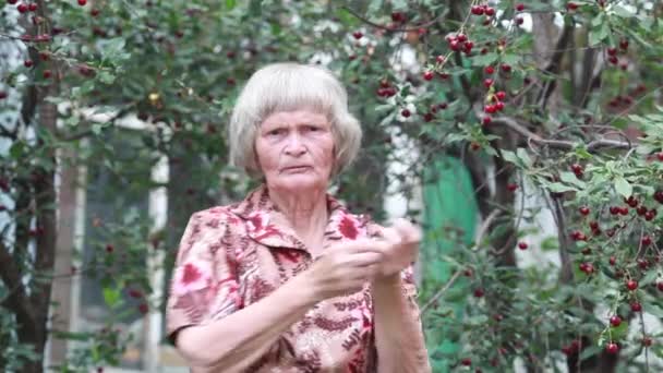 Pensioner eating cherries in the garden the garden — Stock Video