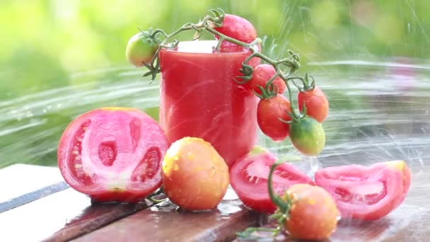 Tekoucí voda teče na rajčata a rajčatové šťávy v lese letní den — Stock video