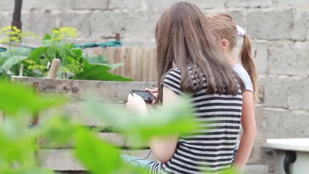 Dos chicas jugando celular en la naturaleza — Vídeo de stock