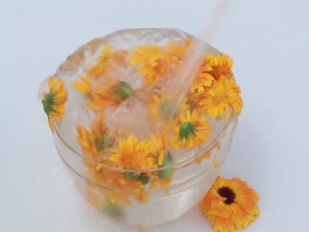 Curación de flores de caléndula en un vaso de agua — Vídeos de Stock