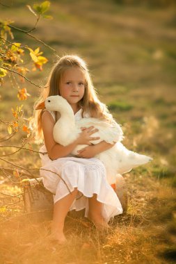 Güzel kız. 5 yaşında. Gün batımında elinde beyaz bir kaz tutuyor.