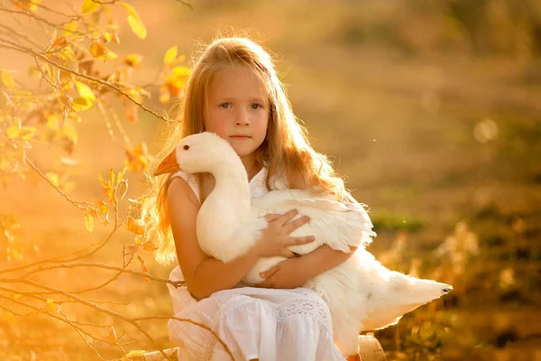 Portrét krásné dívky s bílou husou zblízka při západu slunce — Stock fotografie