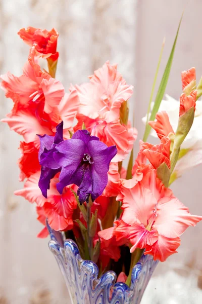 Beau bouquet de gladioli rose — Photo