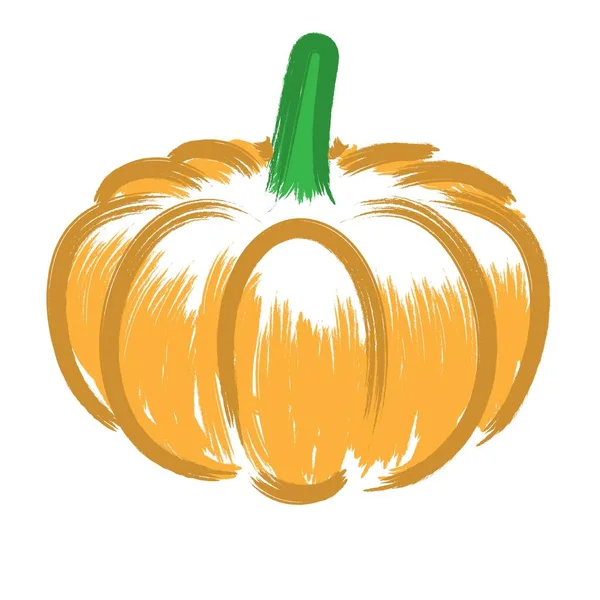 Pumpkin Brush Strokes Vector Illustration — Vetor de Stock