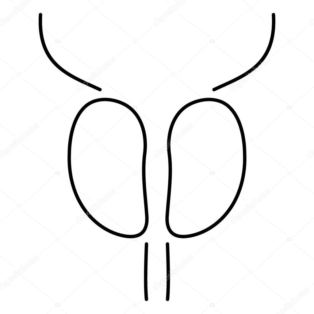 Prostatitis icon isolated on white background, vector illustrati