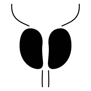 prostatitis icon isolated on white background, vector illustrati