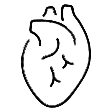 kalp organ simgesi, fırça darbeleri, vektör illüstrasyonu.