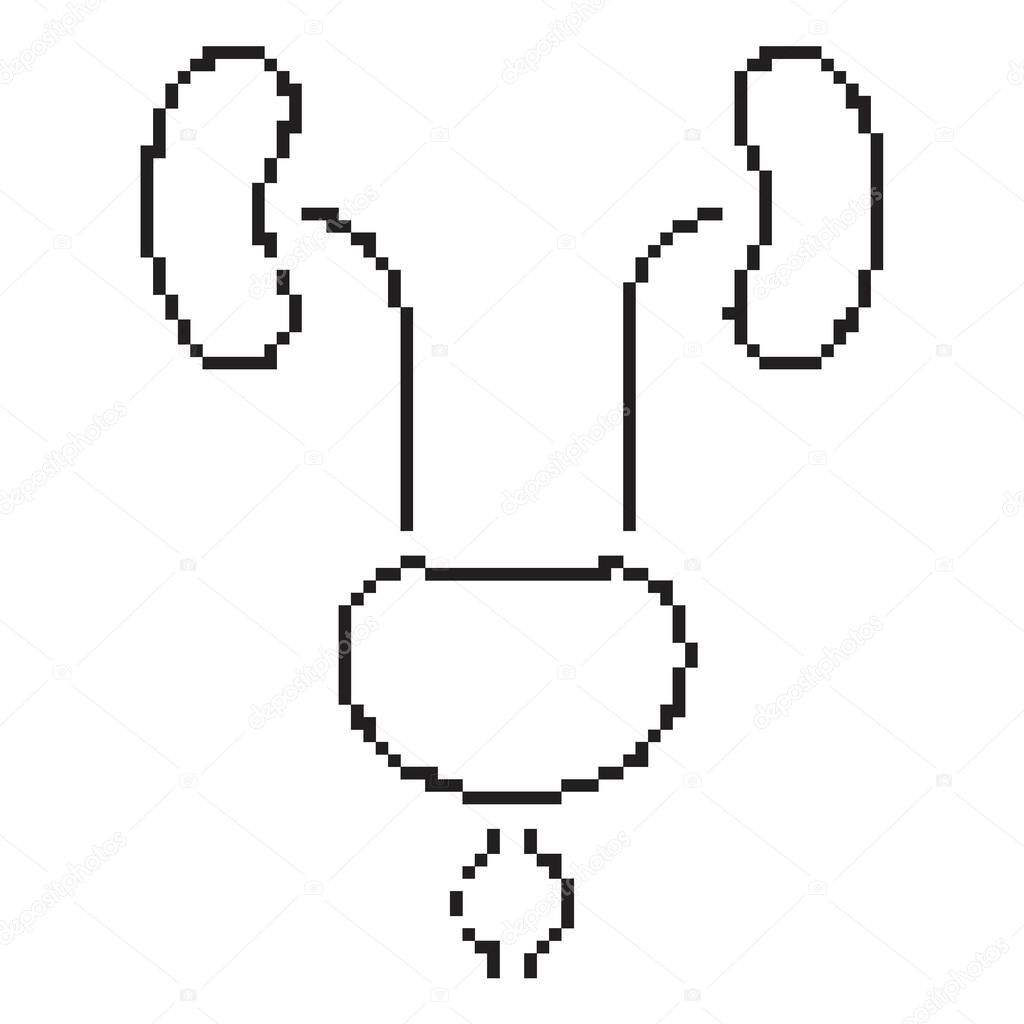 Prostatitis pixel icon, 8-bit. Isolated vector illustration.