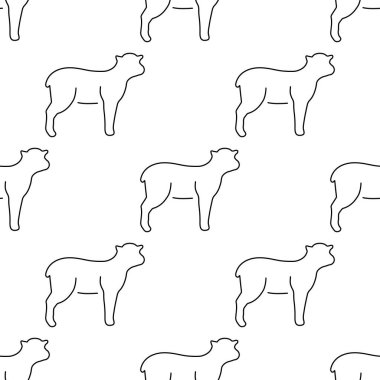 şeffaf arkaplanda izole edilmiş kusursuz kuzu deseni.