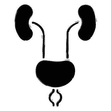 Beyaz arkaplanda prostatitis simgesi, fırça darbeleri, vektör illüstrasyonu.