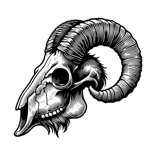 Черно-белая гравировка с изображением черепа козы с большими изогнутыми рогами. Детальное линейное искусство - готическая, винтажная и татуировочная эстетика, идеально подходящая для элегантного дизайна, темно-художественных принтов или ретро-плакатов.