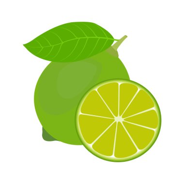 Limon meyve vektörü çizimleri