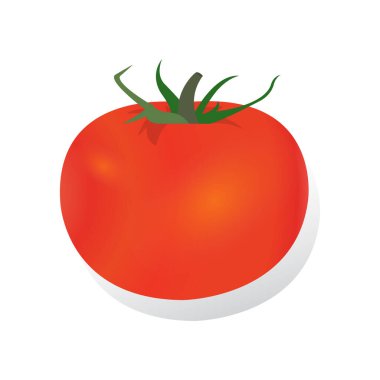 Domatesler gerçekçi vektör çizimi