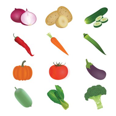 Vektör Sebze Gerçekçi Çizim