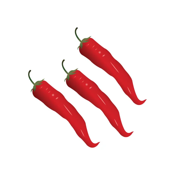 Paprika Chili Chili Chilischoten Oder Pfeffer Realistische Vektorillustration — Stockvektor