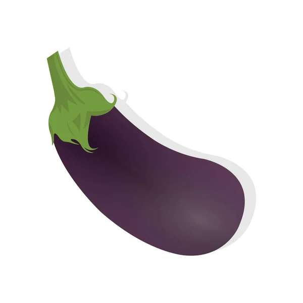 Illustration Vectorielle Réaliste Aubergine — Image vectorielle