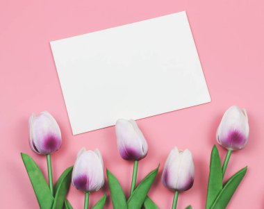 Üst ya da düz mor ve beyaz lale çiçekleri ve pembe zemin üzerinde metin için kopyalama alanı olan boş kağıt kart. Kadınsı kavram.
