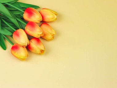 Sarı arkaplanda sarı lale buketi ve fotokopi alanı... tebrik kartı şablonu..