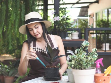 Bahçesinde çalışan, Hindistan 'da toprak kürekleyen, şapka ve önlük takan Asyalı kadın bahçıvanın portresi..