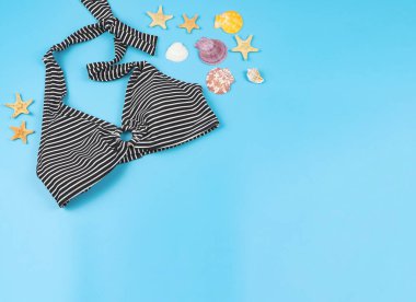 Üst ya da düz bikini yatağı, deniz kabukları ve mavi arka planda deniz yıldızı. Tatil ya da yaz aksesuarları