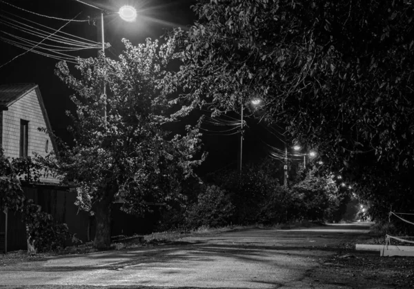 Noite paisagem estrada cidade lanternas árvores — Fotografia de Stock