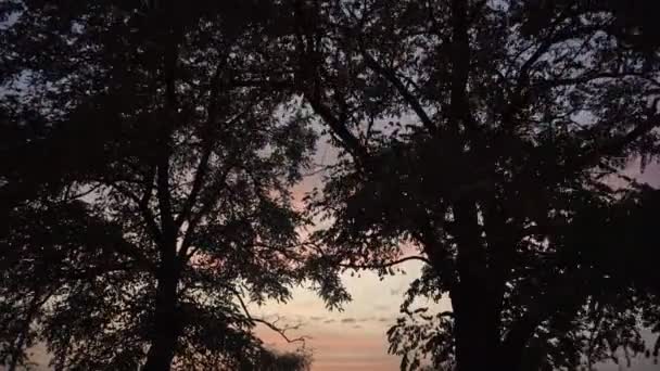 Βράδυ ηλιοβασίλεμα φόντο ουρανό τοπίο — Αρχείο Βίντεο