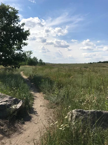 Stig Skog Stenar Träd Himmel — Stockfoto