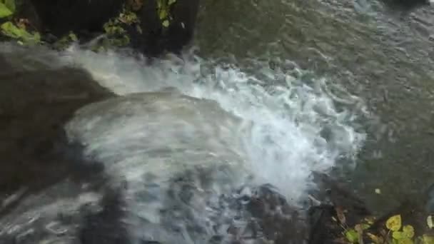 Bir dağ nehrinde su akıntısı — Stok video