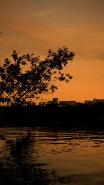 Timelapse vidéo verticale, belle soirée, rivière en été, coucher de soleil, silhouettes de gars et de filles, l'eau, les nuages, orange vif et les couleurs d'or du ciel — Video