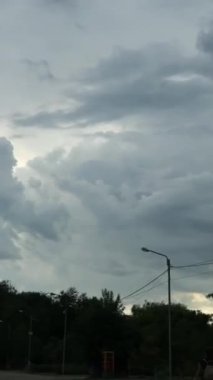 dikey video güzel görüntüler yağmur, su damlaları, çiçekler, park, insanlar, arabalı çeşme yolu, nehir, su akıntıları