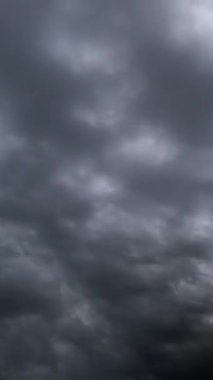 Şehir merkezinin farklı çekimleri için zaman ayarlayın. Günbatımı ağaçları manzarayı yönlendirir.