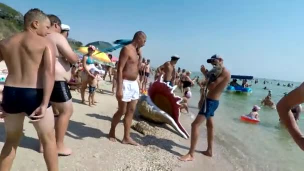 Foton med djur på stranden är förbjudna — Stockvideo