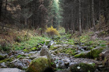 Ayusai vadisindeki dağ nehri.